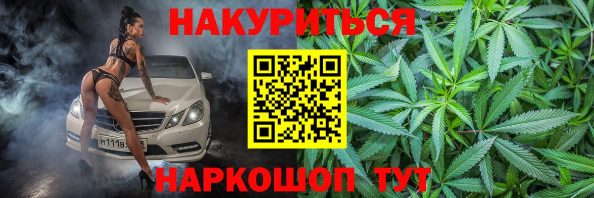 Канабис гибрид  Канабис сатива  Аргун  Бошки марихуана план  МАРИХУАНА SATIVA & INDICA  Вход с VPN 