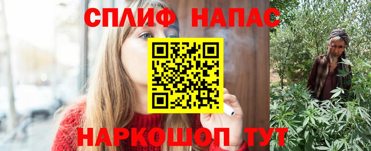 Бошки Шишки Amnesia Аргун
